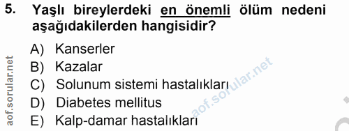 Soru 5