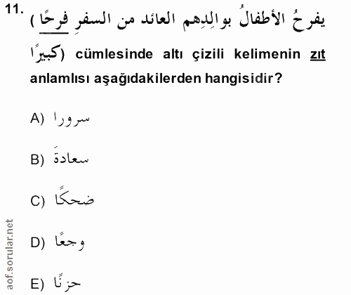 Soru 11