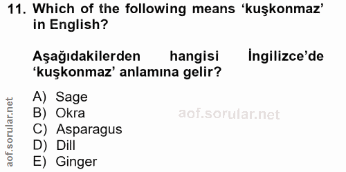 Soru 11