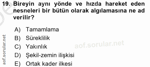 Soru 19