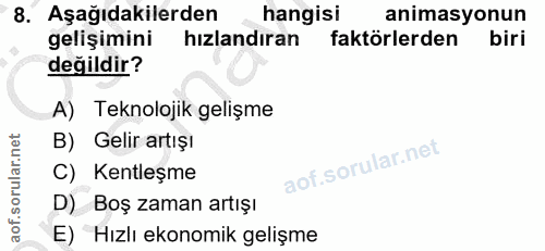 Soru 8