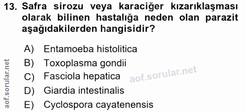 Soru 13