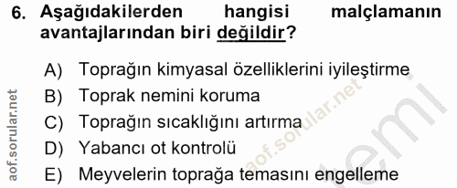 Soru 6