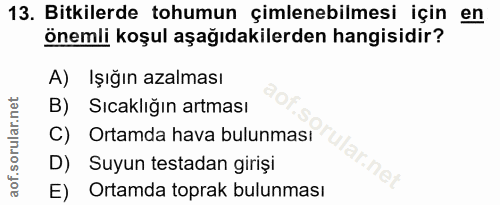 Soru 13