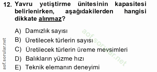 Soru 12