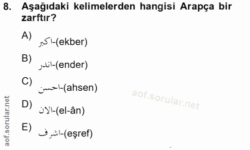 Soru 8