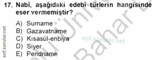 Soru 17