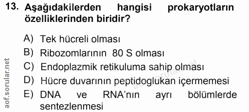 Soru 13