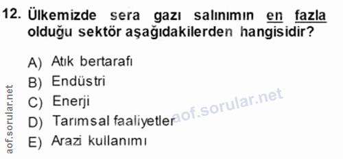 Soru 12