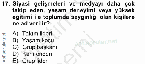 Soru 17