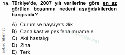 Soru 15