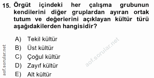 Soru 15