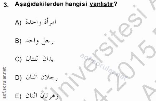Soru 3