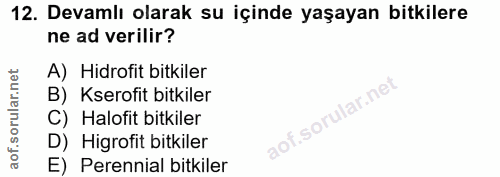 Soru 12