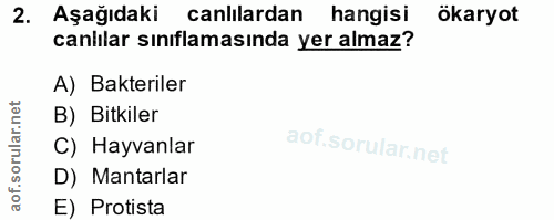 Soru 2