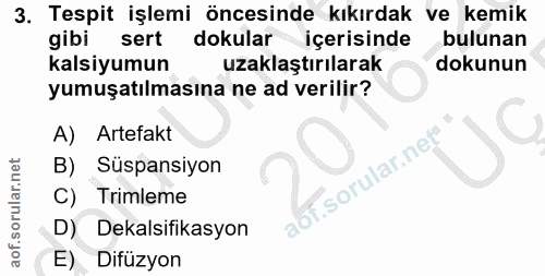 Soru 3