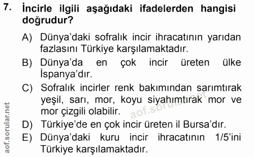 Soru 7