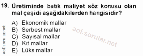 Soru 19