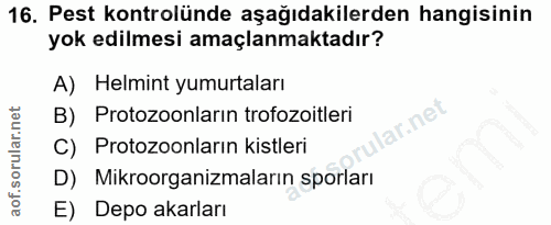 Soru 16