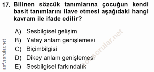 Soru 17