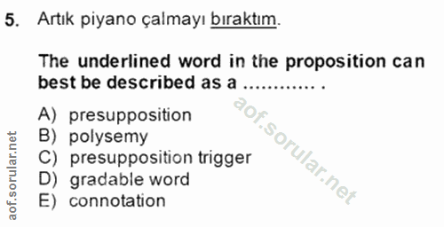 Soru 5