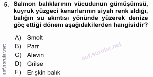 Soru 5