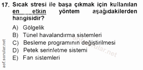 Soru 17