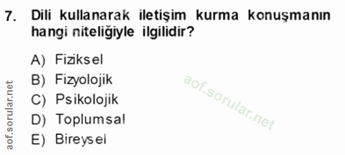 Soru 7