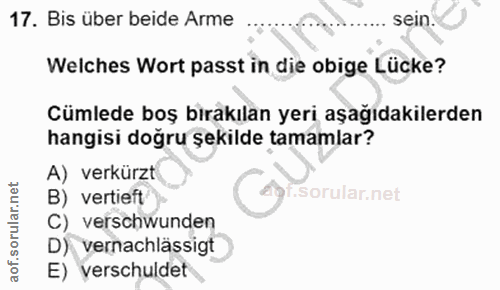 Soru 17