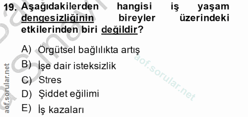 Soru 19