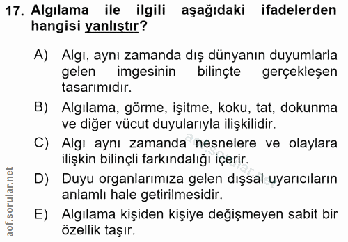 Soru 17