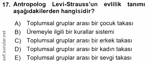 Soru 17