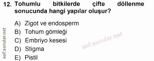 Soru 12