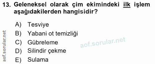 Soru 13