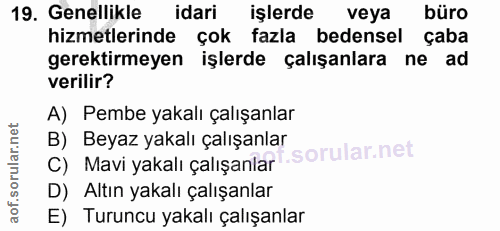 Soru 19