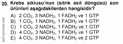 Soru 20