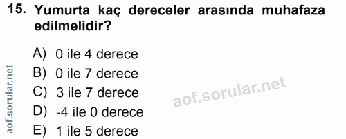 Soru 15