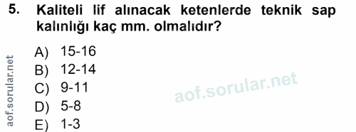Soru 5