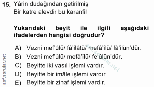 Soru 15