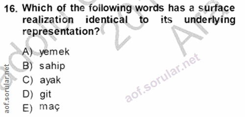 Soru 16