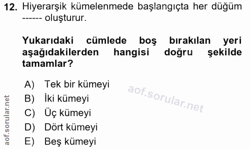Soru 12