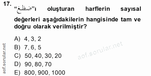 Soru 17