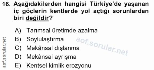 Soru 16