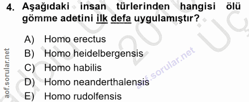 Soru 4