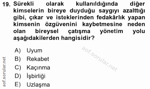 Soru 19