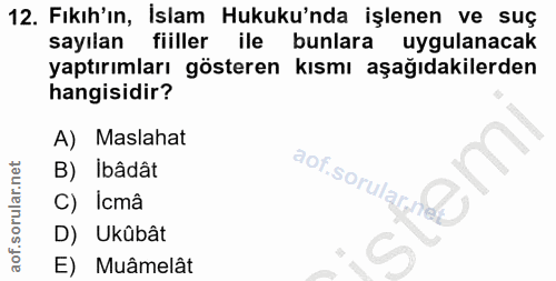 Soru 12