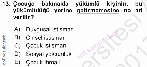 Soru 13