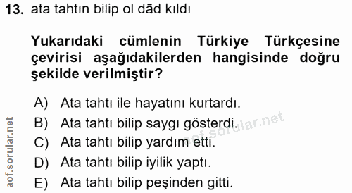 Soru 13