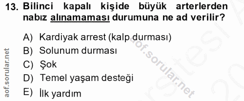 Soru 13