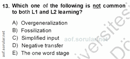 Soru 13
